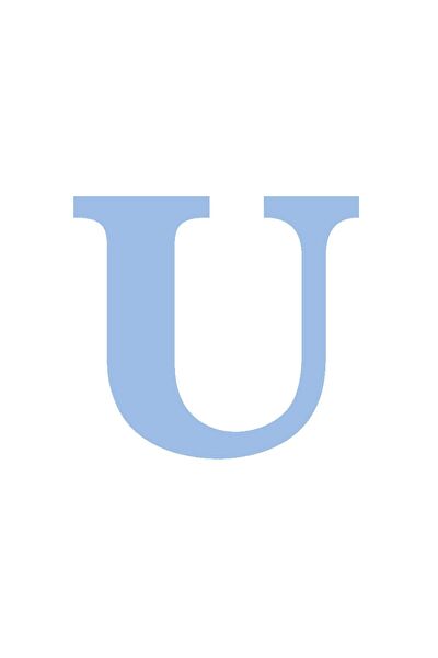 Festivall Party Shopping Parti Süsleme Malzemeleri