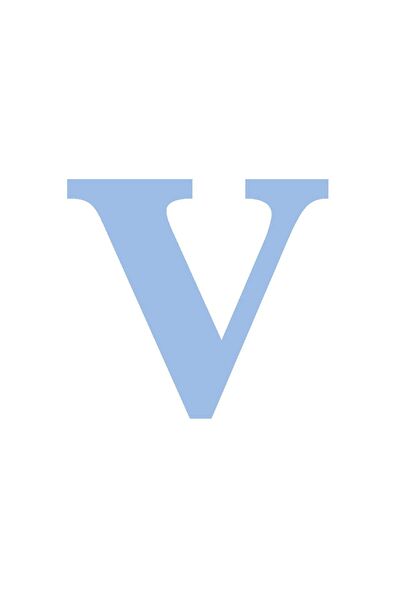 Festivall Party Shopping Parti Süsleme Malzemeleri