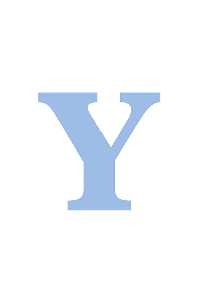 Festivall Party Shopping Parti Süsleme Malzemeleri