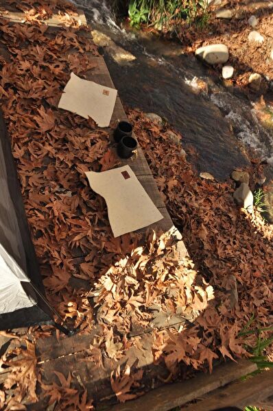 Mvt Wild Çadır Matı