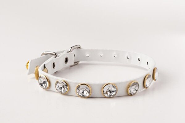 Privilege Kedi Tasmaları ve İsimlikler