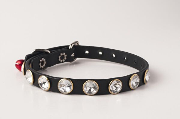 Privilege Kedi Tasmaları ve İsimlikler