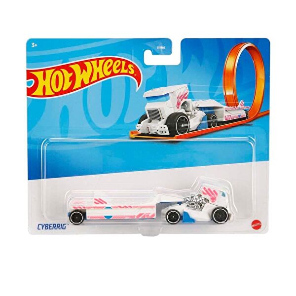 Hot Wheels Oyuncak Arabalar