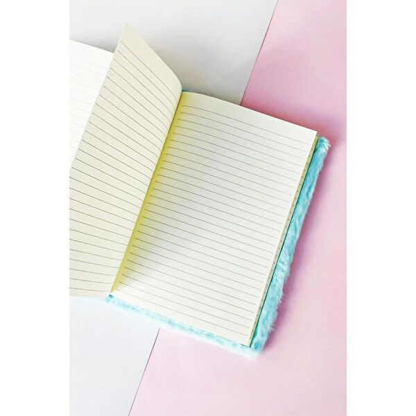 Hediye Vakti Defter, Ajanda