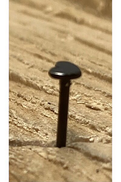 Monalisa Home Kadın Piercing