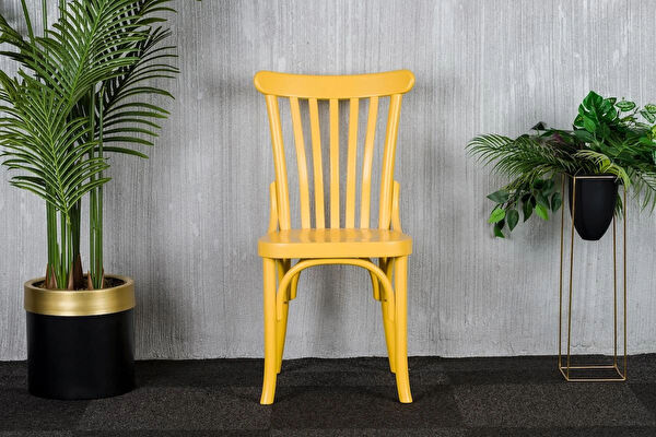 Furniture Sandalye, Tabure, Bank