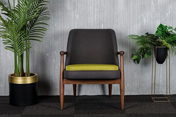 Furniture Berjer, TV Koltuk