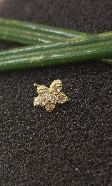 Monalisa Home Hızma