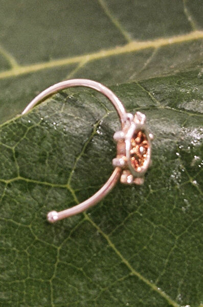 Monalisa Home Hızma