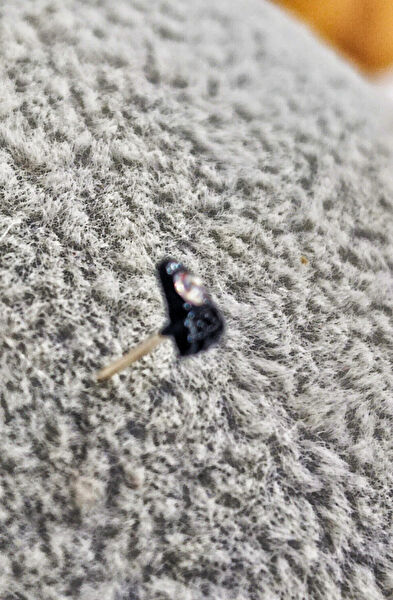 Monalisa Home Hızma