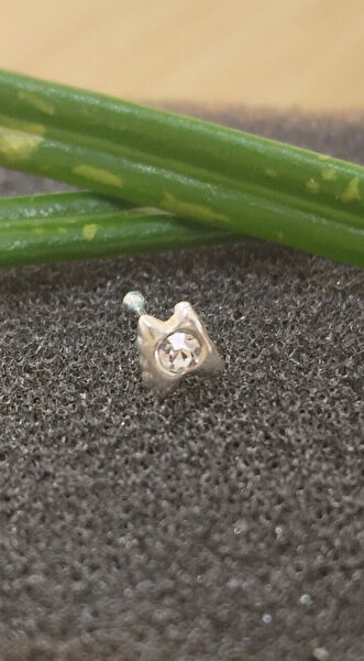 Monalisa Home Hızma