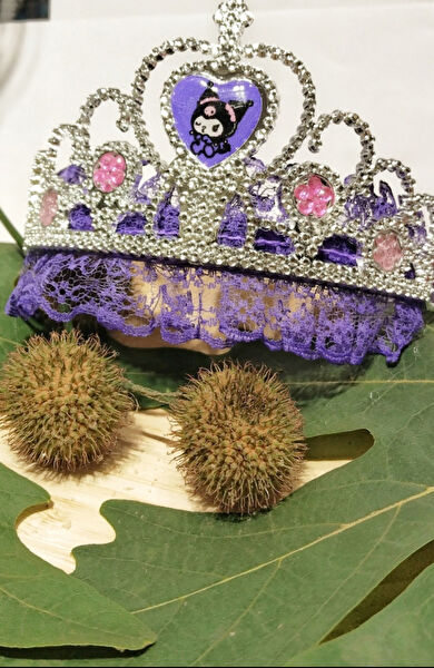 Monalisa Home Çocuk Saç Aksesuarları