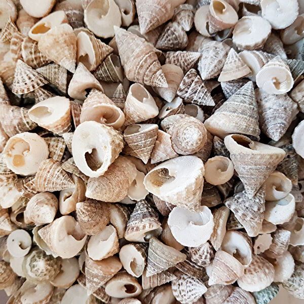 Tahtakaletoptancıları Akvaryum Dekoratif Malzemeler