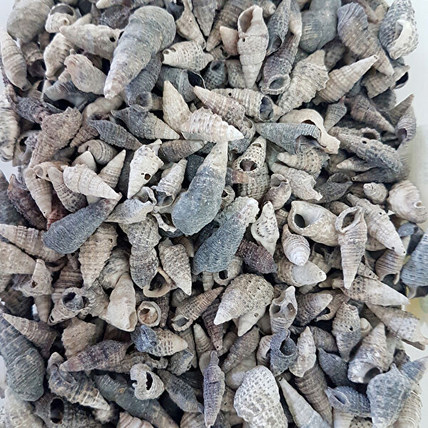 Tahtakaletoptancıları Akvaryum Dekoratif Malzemeler