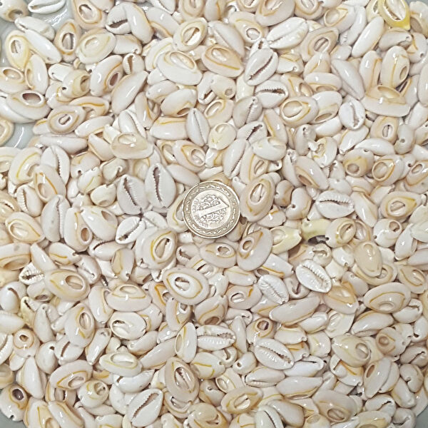 Tahtakaletoptancıları Akvaryum Dekoratif Malzemeler