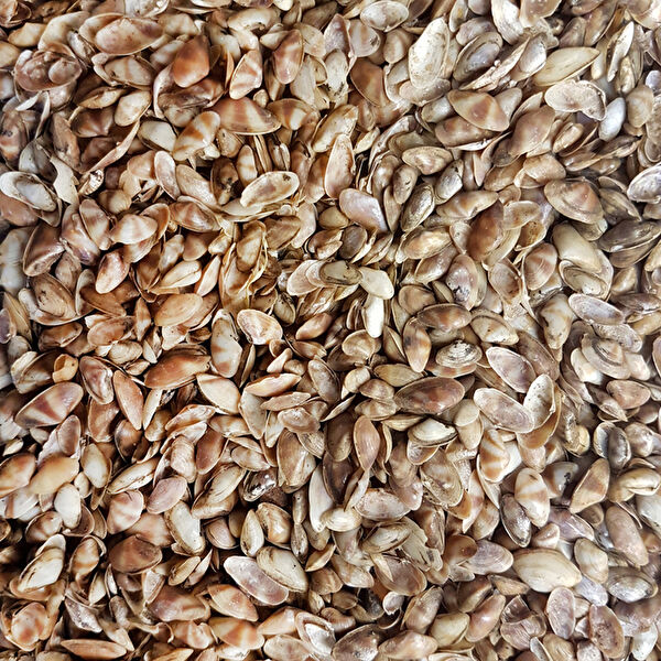 Tahtakaletoptancıları Akvaryum Dekoratif Malzemeler