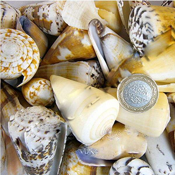 Tahtakaletoptancıları Akvaryum Dekoratif Malzemeler