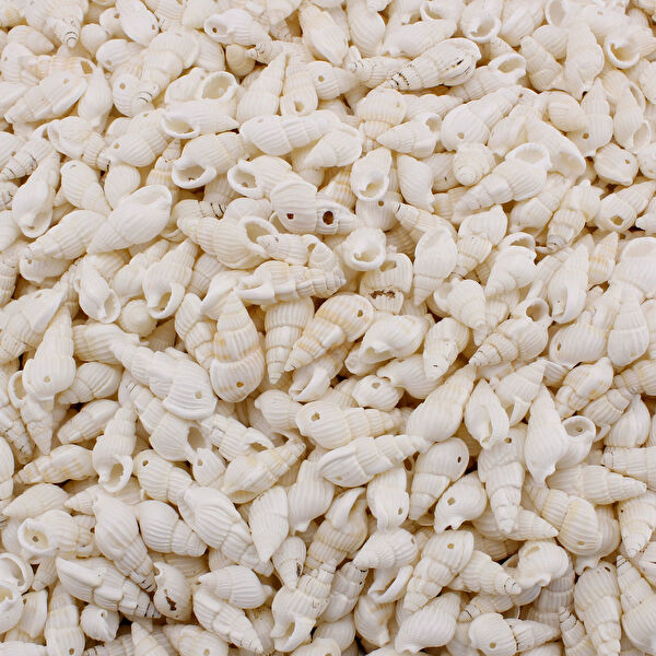 Tahtakaletoptancıları Akvaryum Dekoratif Malzemeler