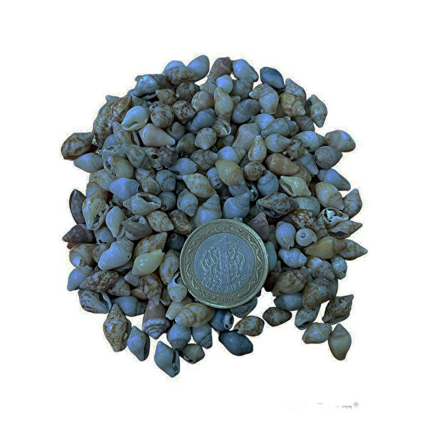 Tahtakaletoptancıları Akvaryum Dekoratif Malzemeler