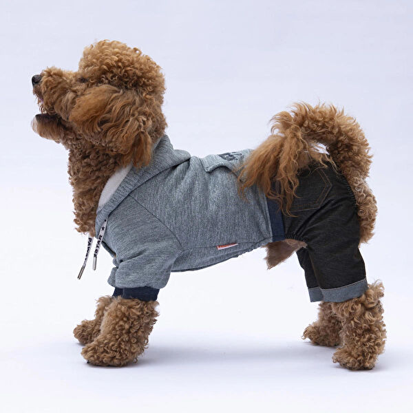 PawStar Köpek Elbisesi