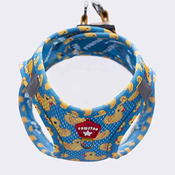 PawStar Köpek Tasmaları