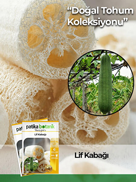 Patika Botanik Tohum