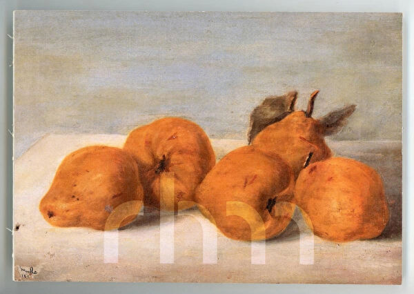 RHM Dükkan Resim Defteri, Kağıtları