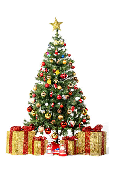 Waldern Yılbaşı Ağacı