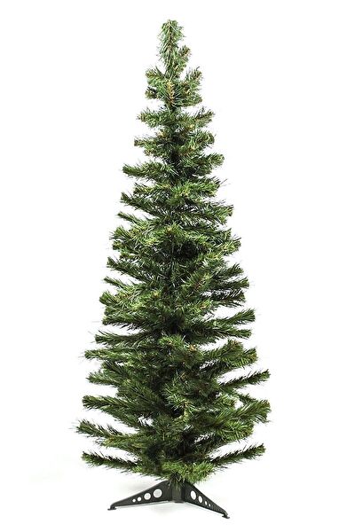 Waldern Yılbaşı Ağacı