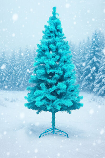 Waldern Yılbaşı Ağacı