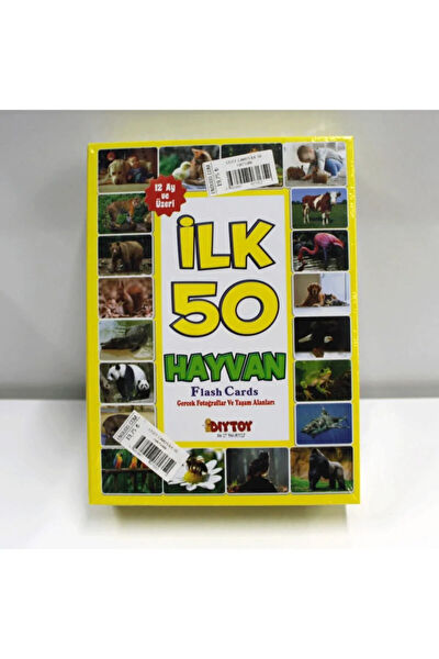 DIYTOY Eğitici Oyuncaklar