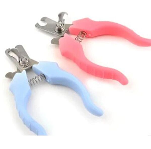 Ramdet Kedi Tarak, Fırça, Makas