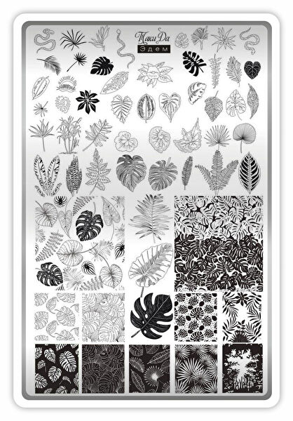 Takida Tırnak Bakım Ürünleri