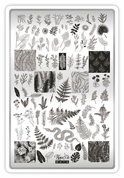 Takida Tırnak Bakım Ürünleri