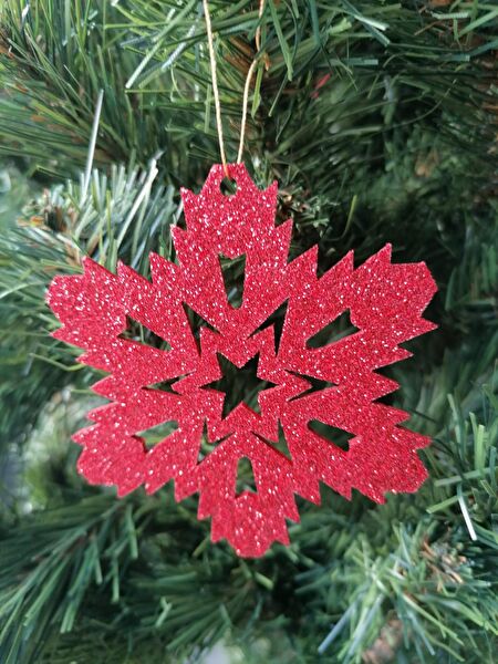 Leylaser Parti Süsleme Malzemeleri