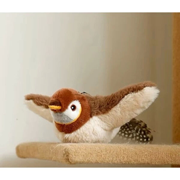 TTT Köpek Tarak, Fırça, Makas