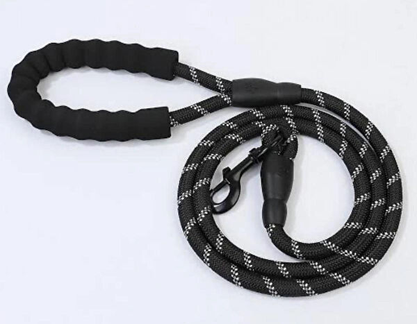 CARNIVAL LAND Köpek Tasmaları