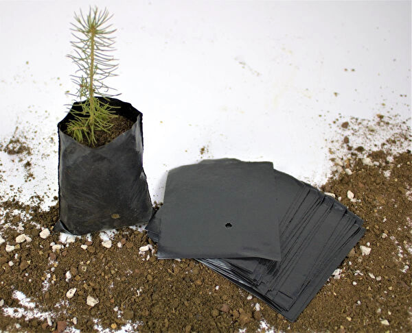 Ekodoğa Bitki Yetiştirme Kiti