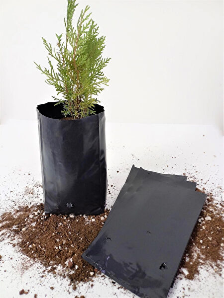 Ekodoğa Bitki Yetiştirme Kiti