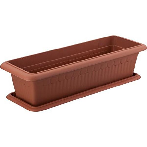 Omnipazar Vazo, Saksı