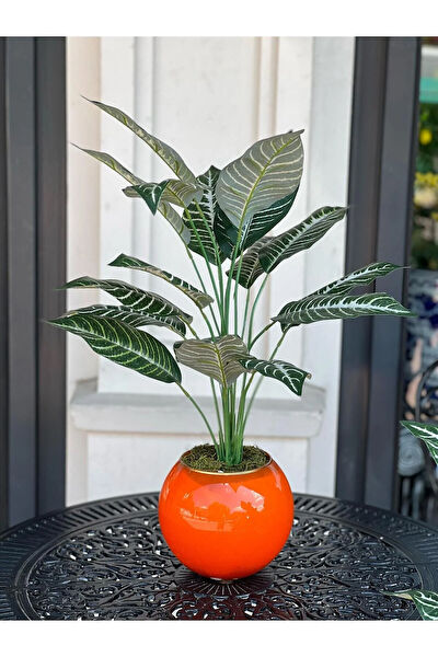 TASARIMH Vazo, Saksı