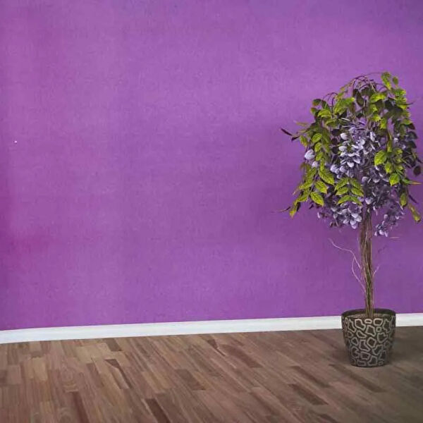 Ankawall Duvar Kağıdı