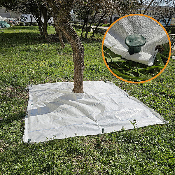 Sera Trend Sera, Sera Malzemeleri