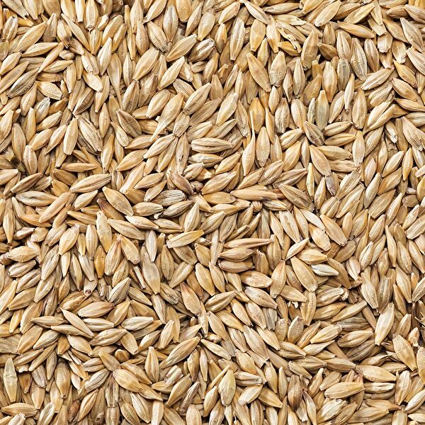 Tungsram Kuş Yemi, Kraker