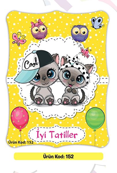 Ata Yayıncılık Arşiv Kutusu,Kolisi,Dosyası