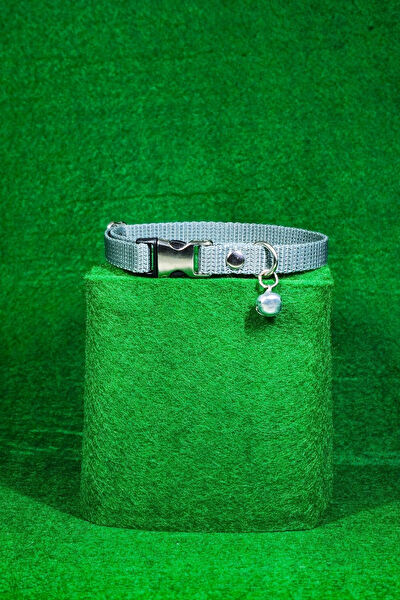 CT STONES Kedi Tasmaları ve İsimlikler