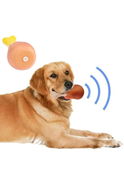 TTT Köpek Oyuncakları