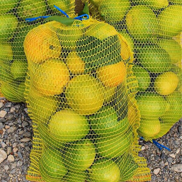 Sera Trend Paketleme ve Ambalaj Makineleri