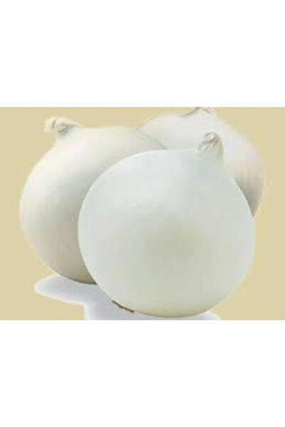 Serdar Çam Tohumculuk Tohum