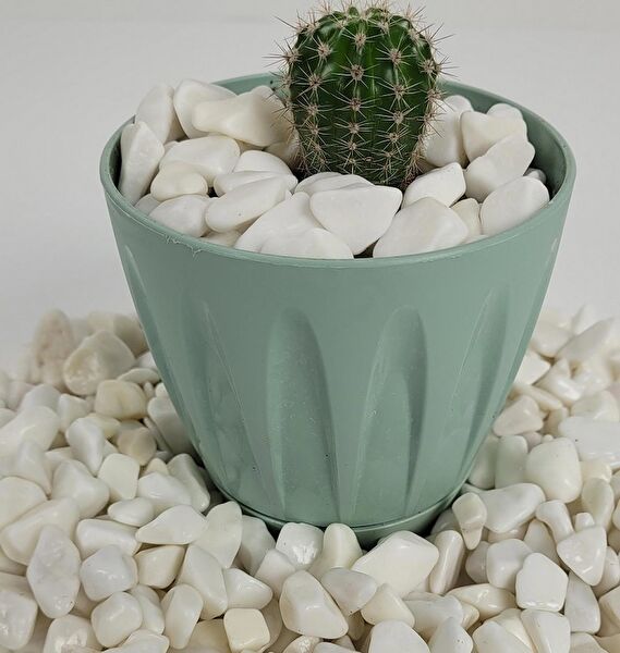 Himarry Bahçe Dekoratif Ürünleri